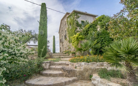 Some steps to an intimate garden area with a pond